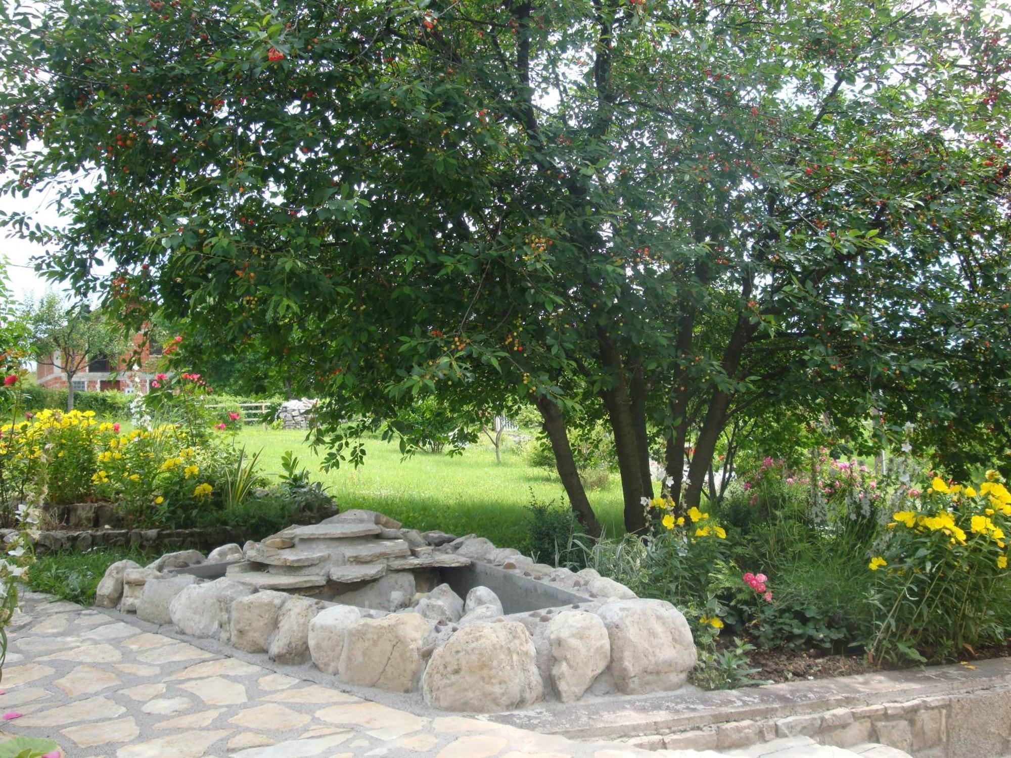 Guest House Jandric Drežnik Grad Εξωτερικό φωτογραφία